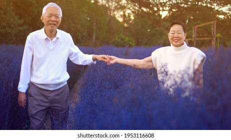 Happy Asian Senior Couple Happy Winter Blue Flower Field Magic Moment