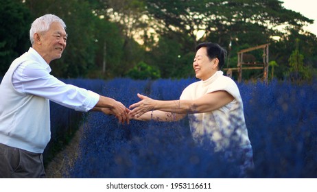 Happy Asian Senior Couple Happy Winter Blue Flower Field Magic Moment