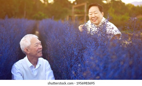 Happy Asian Senior Couple Happy Winter Blue Flower Field Magic Moment