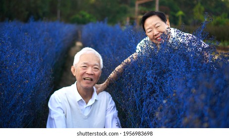 Happy Asian Senior Couple Happy Winter Blue Flower Field Magic Moment