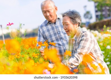 Happy Asian Senior Couple Working In The Garden