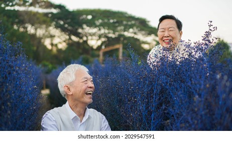 Happy Asian senior elder couple enjoy life hide and seek laughing in purple garden - Powered by Shutterstock