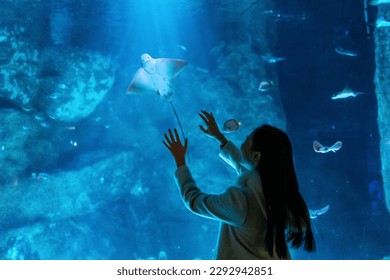 Happy Asian woman enjoy learning sea life in fish tank at Underwater Zoo Aquarium. Attractive girl touching large glass tank with aquatic animals shoal of fish and stingray during travel in Oceanarium