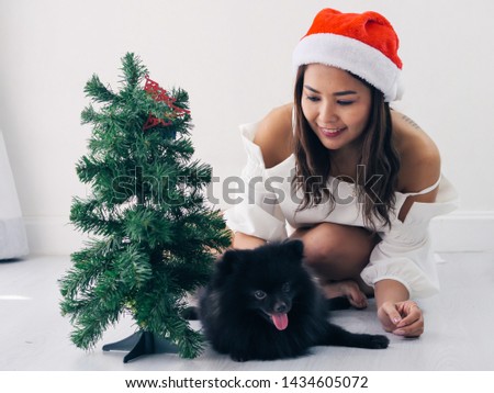 Happy Asian woman and her black dog decorating  christmas tree, lifestyle concept.