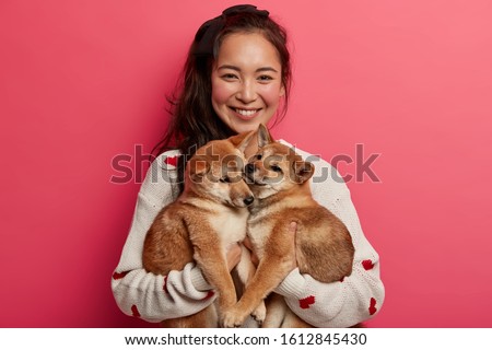 Similar – Image, Stock Photo walk Pet Dog 1 Animal Jump