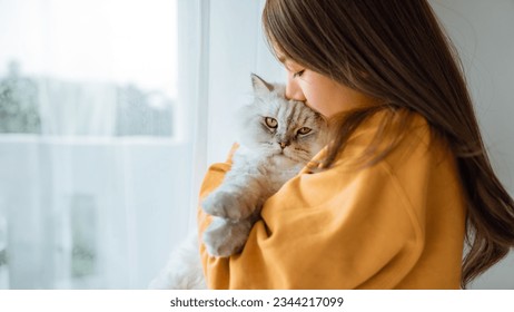 Happy asian woman kissing her cute grey persian cat with love at home, Adorable domestic pet concept, Friendship between human and their pet