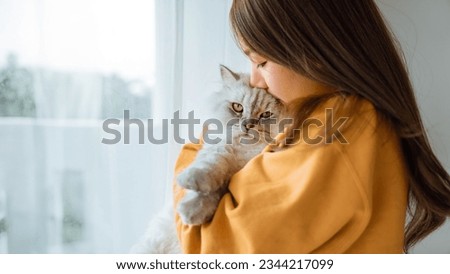 Similar – Image, Stock Photo Young woman caressing adorable British shorthair golden cat on sofa at home