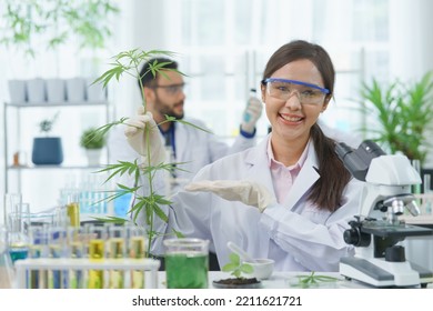 Happy  Asian Woman Scientist Smile Looking Show Cannabis Leaves Research Cannabis Alternative Chemical Extract In Farm Agro Lab, Pharmacist Look Microscope Herb Leaf Ganja Alternative Medicine Legal 