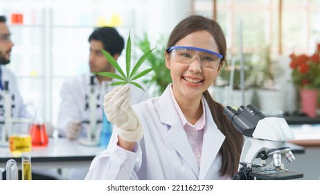 Happy  Asian Woman Scientist Smile Looking Show Cannabis Leaves Research Cannabis Alternative Chemical Extract In Farm Agro Lab, Pharmacist Look Microscope Herb Leaf Ganja Alternative Medicine Legal 