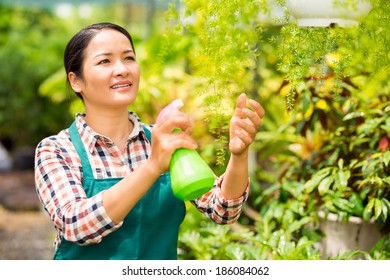 Happy Asian Woman Spraying Water On Plants In The Garden