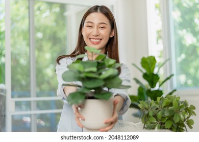 Happy Asian Young Woman, Customer Received, Unpack Package Carton Open Parcel In Cardboard Box, Holding Ceramic Plant Pot. Moving, Preparing In New House, Relocation. Online Shop Delivery At Home.