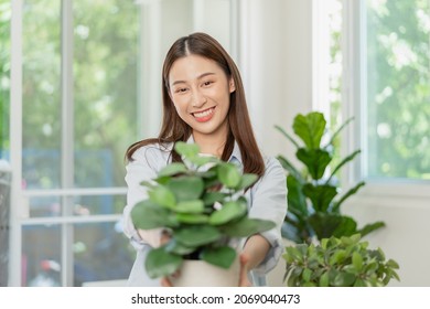 Happy Asian Young Woman, Customer Received, Unpack Package Carton Open Parcel In Cardboard Box, Holding Ceramic Plant Pot. Moving, Preparing In New House, Relocation. Online Shop Delivery At Home.