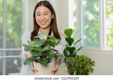 Happy Asian Young Woman, Customer Received, Unpack Package Carton Open Parcel In Cardboard Box, Holding Ceramic Plant Pot. Moving, Preparing In New House, Relocation. Online Shop Delivery At Home.