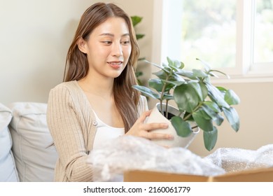 Happy Asian Young Woman, Customer Received, Unpack Package Carton Open Parcel In Cardboard Box, Holding Ceramic Plant Pot. Moving, Preparing In New House, Relocation. Online Shop Delivery At Home.