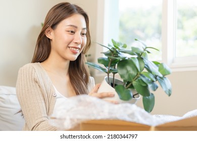 Happy Asian Young Woman, Customer Received, Unpack Package Carton Open Parcel In Cardboard Box, Holding Ceramic Plant Pot. Moving, Preparing In New House, Relocation. Online Shop Delivery At Home.