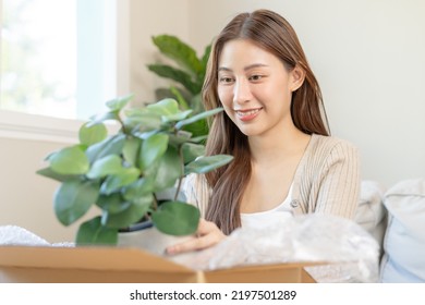 Happy Asian Young Woman, Customer Received, Unpack Package Carton Open Parcel In Cardboard Box, Holding Ceramic Plant Pot. Moving, Preparing In New House, Relocation. Online Shop Delivery At Home.