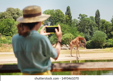 Happy Asian Zoology Student Girl Taking Photo On Smartphone While Giraffe Drinking From Lake