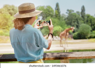 Happy Asian Zoology Student Girl Taking Photo On Smartphone While Giraffe Drinking From Lake