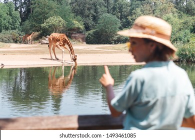Happy asian zoology student girl looking at giraffe drinking from lake - Shutterstock ID 1493461085