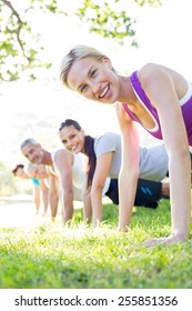 Happy athletic group training on a sunny day - Shutterstock ID 255851356