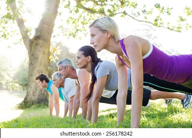 Happy athletic group training on a sunny day - Shutterstock ID 256178242