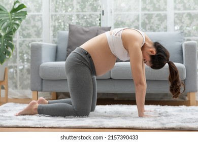 Happy Attractive Asian Pregnant Woman Practice Cat Cow Pose To Meditation Smile With Big Belly In The Morning Comfortable And Relax,Pregnancy Woman Breathing And Calm With Yoga,Yoga Pregnant Concept