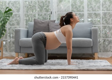 Happy Attractive Asian Pregnant Woman Practice Cat Cow Pose To Meditation Smile With Big Belly Comfortable And Relax,Pregnancy Woman Breathing And Calm With Yoga. Self Care Yoga Pregnant Concept