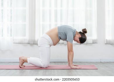 Happy Attractive Asian Pregnant Woman Practice Cat Cow Pose To Meditation Smile With Big Belly Comfortable And Relax,Pregnancy Woman Breathing And Calm With Yoga. Self Care Yoga Pregnant Concept