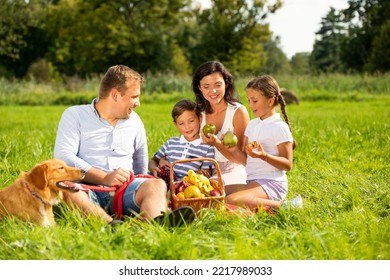 Happy Authentic Family Having Picnic And Spending Time Together Outdoor