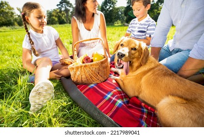 Happy Authentic Family Having Picnic And Spending Time Together Outdoor