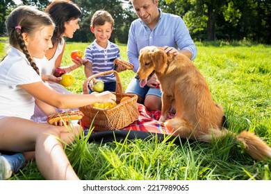 Happy Authentic Family Having Picnic And Spending Time Together Outdoor