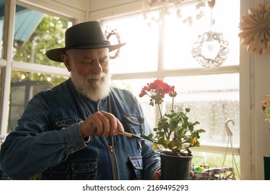 Happy Bearded Aged Man Planting Flowers In Own Boutique