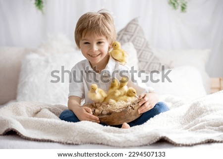 Happy beautiful childre, kids, playing with small beautiful ducklings, cute fluffy animal birds