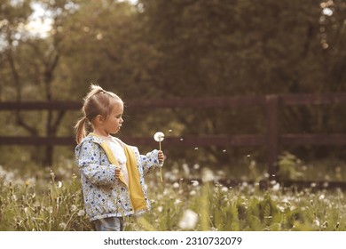 Happy beautiful girl of 3 years blowing on a dandelion on a sunny summer evening. A child in the fresh air, in nature. The setting sun. - Shutterstock ID 2310732079