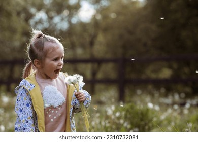 Happy beautiful girl of 3 years blowing on a dandelion on a sunny summer evening. A child in the fresh air, in nature. The setting sun. - Shutterstock ID 2310732081