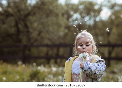 Happy beautiful girl of 3 years blowing on a dandelion on a sunny summer evening. A child in the fresh air, in nature. The setting sun. - Shutterstock ID 2310732089