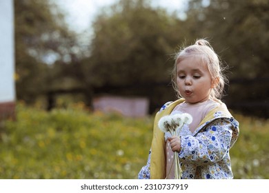 Happy beautiful girl of 3 years blowing on a dandelion on a sunny summer evening. A child in the fresh air, in nature. The setting sun. - Shutterstock ID 2310737919