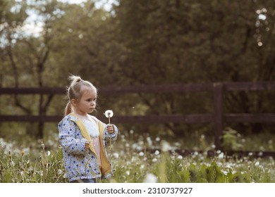 Happy beautiful girl of 3 years blowing on a dandelion on a sunny summer evening. A child in the fresh air, in nature. The setting sun. - Shutterstock ID 2310737927