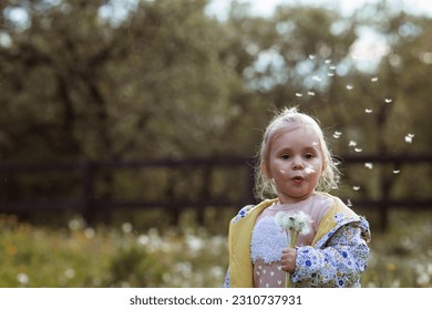 Happy beautiful girl of 3 years blowing on a dandelion on a sunny summer evening. A child in the fresh air, in nature. The setting sun. - Shutterstock ID 2310737931