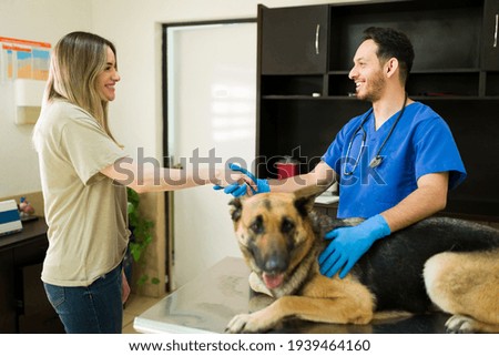 Similar – Image, Stock Photo German shepherd dog