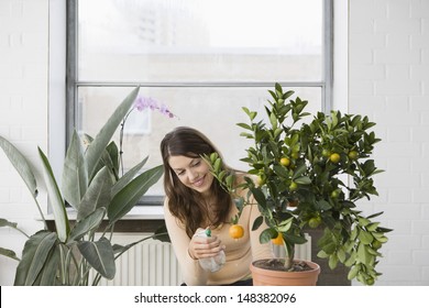 Happy Beautiful Woman Spraying Water On Orange Growing On Plant In House