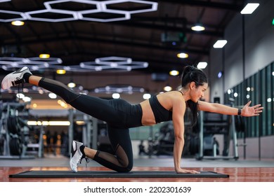 Happy beautiful young asian women are exercising and doing stomach workouts in modern gym. Beautiful women in good shape from taking care of their bodies. Health concept. - Shutterstock ID 2202301639