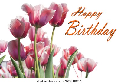 Happy Birthday Card Tulip Flowers Stock Photo 390818944 