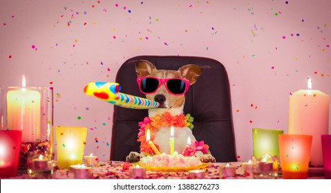 Happy  Birthday Jack Russell Dog With Lots Of Confetti Around In Love For Valentines Or Aniversary, Cake ,sunglasses And Candles, Blowing A Whistle