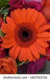 Happy Birthday Orange Gerber Daisy Stock Photo 1467023726 | Shutterstock