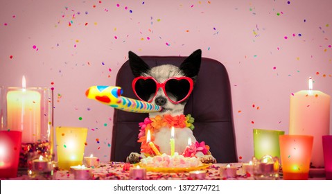 Happy  Birthday Poodle Dog With Lots Of Roses Flying Around In Love For Valentines Or Aniversary, Cake And Sunglasses, Blowing A Whistle