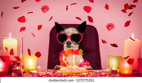 Happy  Birthday Poodle Dog With A Present Or Gift With Lots Of Roses Flying Around In Love For Valentines Or Aniversary, Cake And Sunglasses, And Candles