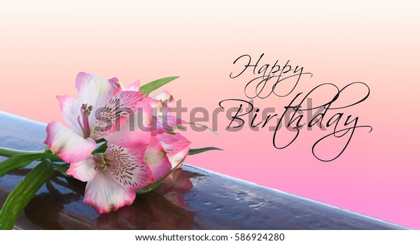 Happy Birthday Text Card Pink Alstroemeria Stock Photo 586924280 ...