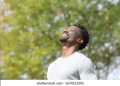 Happy black man breathing deeply fresh air in a park with a green tree in the background a sunny day
