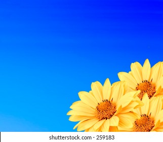 Happy blue and yellow. Collage of yellow daisies on a blue gradient background.